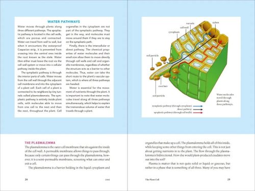 Teaming with Nutrients: The Organic Gardeners Guide to Optimising Plant Nutritition - Image 4