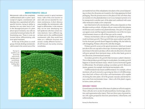 Teaming with Nutrients: The Organic Gardeners Guide to Optimising Plant Nutritition - Image 3