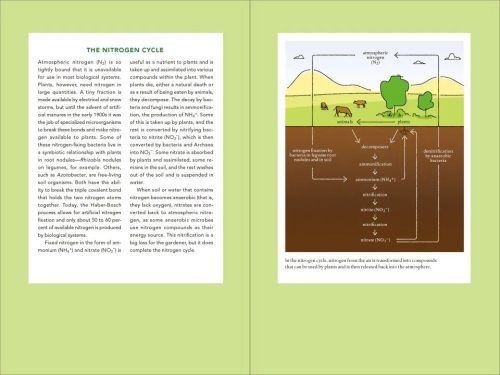 Teaming with Nutrients: The Organic Gardeners Guide to Optimising Plant Nutritition - Image 2