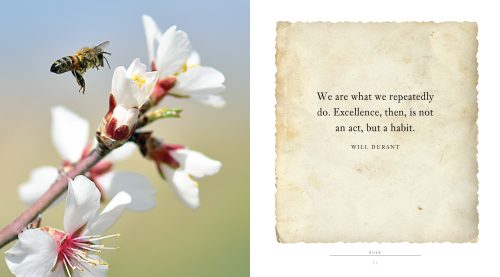 Buzz:  A Book of Happiness for Bee Lovers - Image 2