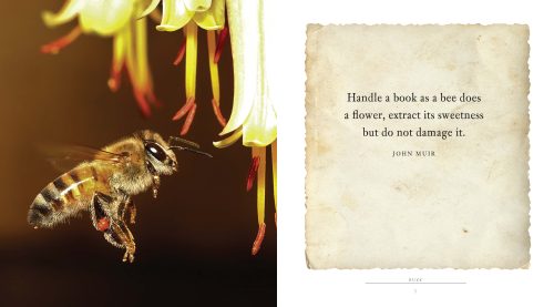 Buzz:  A Book of Happiness for Bee Lovers - Image 3