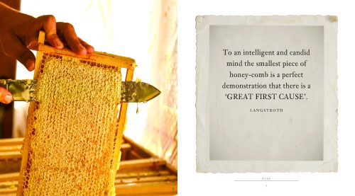Buzz:  A Book of Happiness for Bee Lovers - Image 5