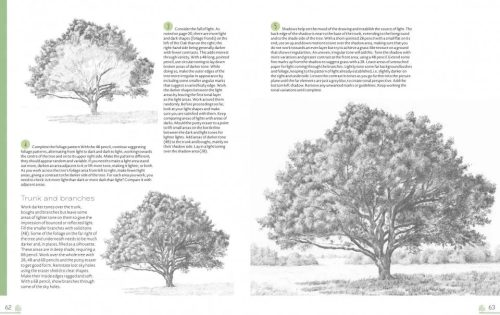 Drawing Trees & Flowers - Image 2