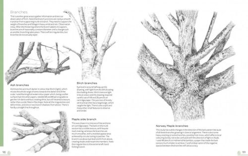 Drawing Trees & Flowers - Image 3