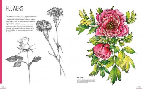 Drawing Trees & Flowers - Image 4