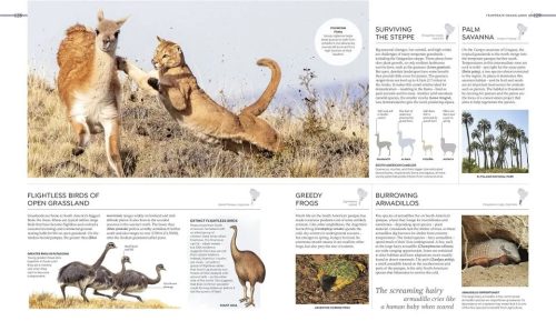 Habitats: Earth's Precious Wild Places Revealed - Image 5