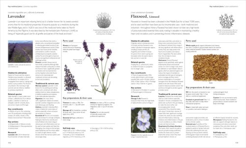 Encyclopedia of Herbal Medicine: 560 Herbs and Remedies for Common Ailments (New Edition) - Image 4