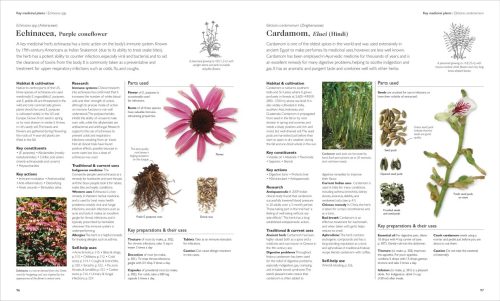Encyclopedia of Herbal Medicine: 560 Herbs and Remedies for Common Ailments (New Edition) - Image 5