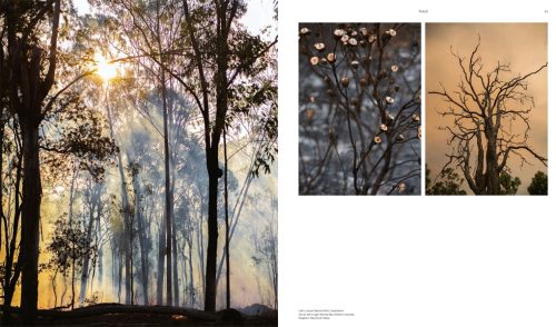 In an Australian Light: Photographs from Across the Country - Image 4