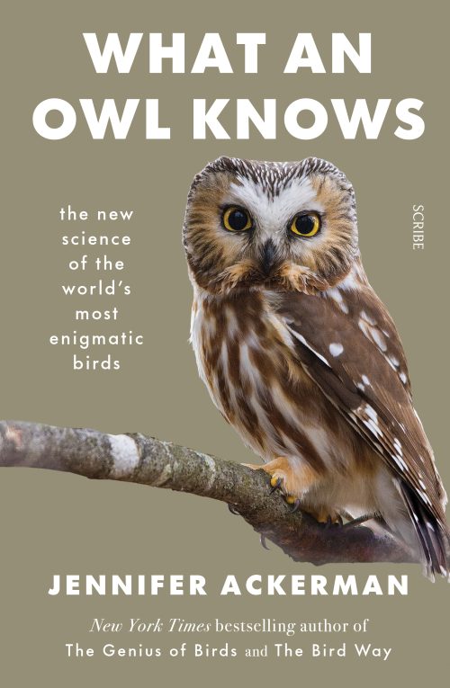 What an Owl Knows:  The New Science of the World's Most Enigmatic Birds