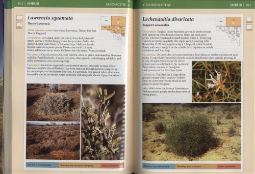 Field Guide to the Plants of Outback South Australia (Second Edition) - Image 2