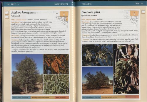 Field Guide to the Plants of Outback South Australia (Second Edition) - Image 4