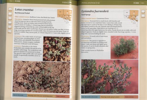 Field Guide to the Plants of Outback South Australia (Second Edition) - Image 5