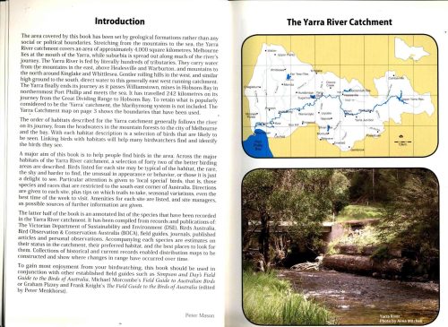 Birds of the Yarra Catchment and Where to Find Them - Image 2