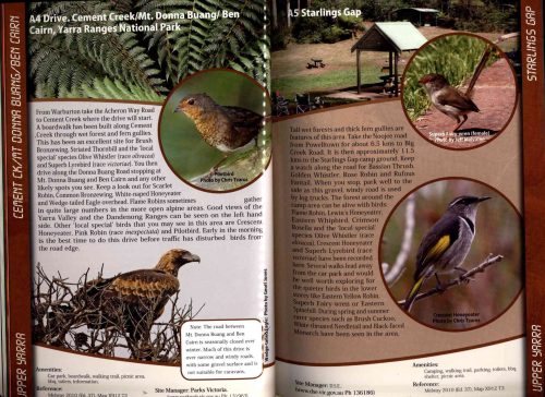 Birds of the Yarra Catchment and Where to Find Them - Image 3