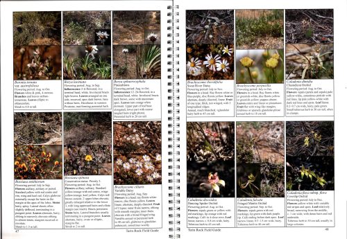 A Field Guide to the Flora of the Tarin Rock Reserves: With Supporting Information on Fauna and Fungi - Image 4