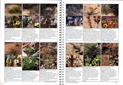 A Field Guide to the Flora of the Tarin Rock Reserves: With Supporting Information on Fauna and Fungi - Image 5