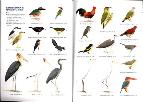 A Field Guide to the Birds of Singapore - Image 5