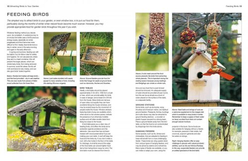40 Bird Boxes, Feeders & Birdbaths:  Practical Projects to Turn Your Garden into a Haven for Birds - Image 2
