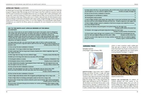 Handbook of Amphibians and Reptiles of North-east Africa - Image 5