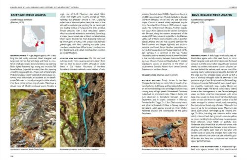 Handbook of Amphibians and Reptiles of North-east Africa - Image 4