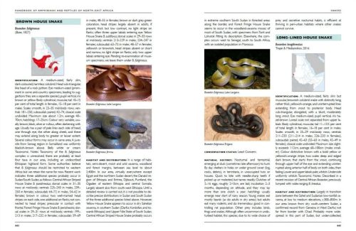 Handbook of Amphibians and Reptiles of North-east Africa - Image 3