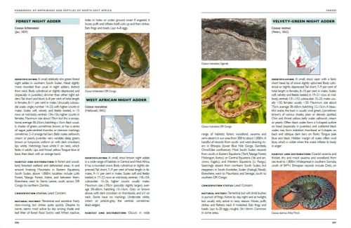 Handbook of Amphibians and Reptiles of North-east Africa - Image 2