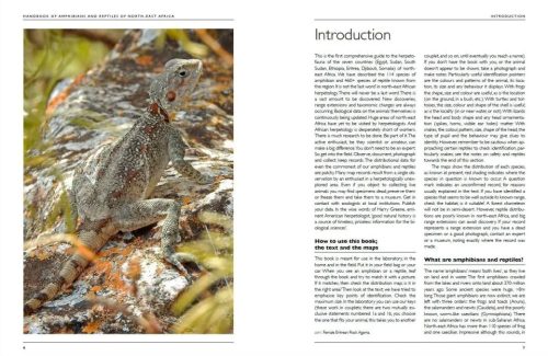 Handbook of Amphibians and Reptiles of North-east Africa - Image 6