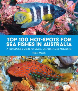 Top 100 Hot Spots For Sea Fishes In Australia:   A Fishwatching Guide for Divers, Snorkellers and Naturalists