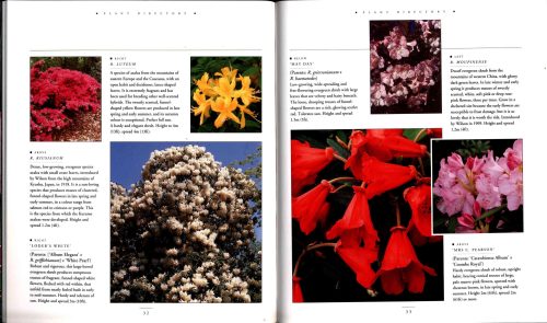 Rhododendrons: An Illustrated Guide to Varieties, Cultivation and Care, With Step-by-Step Instructions and Over 135 Beautiful Photographs - Image 3