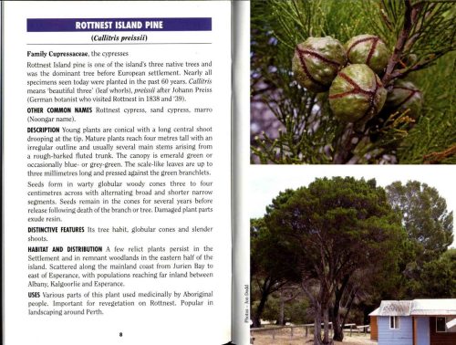 Plants of Rottnest Island (Bush Books Series) - Image 2