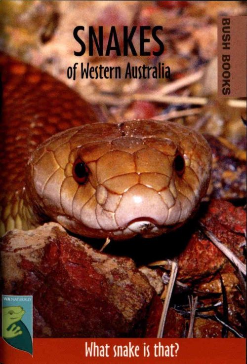 Snakes of Western Australia (Bush Books Series)