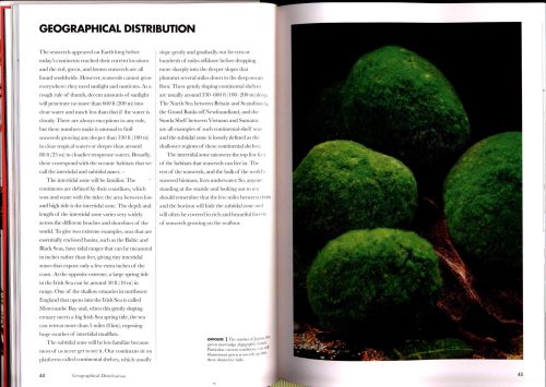 Seaweeds of the World:  A Guide to Every Order - Image 2