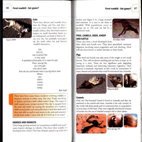Australian Wildlife:  Roadkill - Image 3