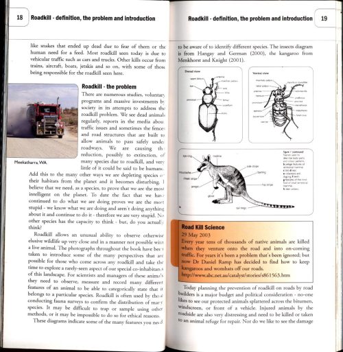 Australian Wildlife:  Roadkill - Image 4