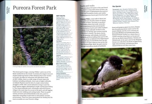 The 50 Best Birdwatching Sites In New Zealand (Second Edition) - Image 3