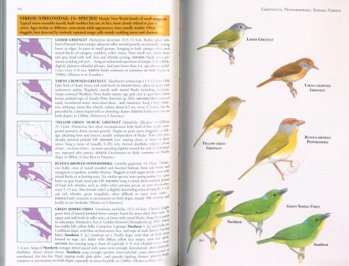 Birds of Costa Rica - Image 3