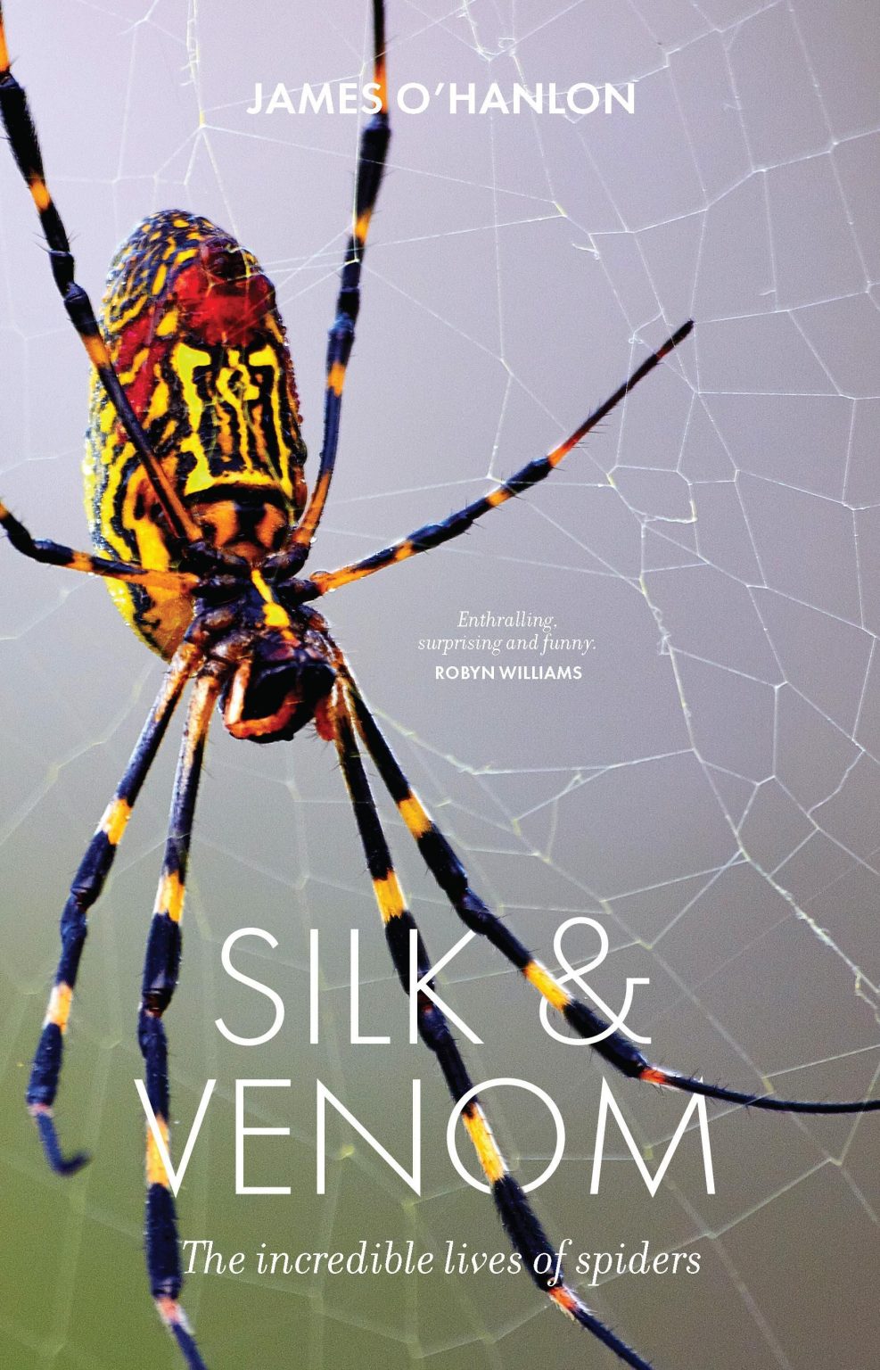 Silk & Venom The Incredible Lives of Spiders Nokomis