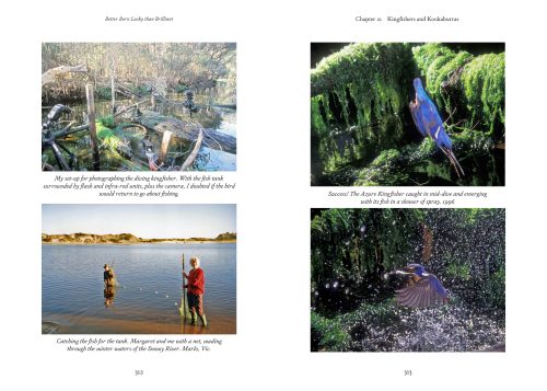 Better Born Lucky Than Brilliant:  Life of a Country Doctor and Naturalist - Image 3