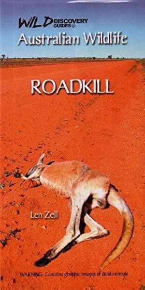 Australian Wildlife:  Roadkill