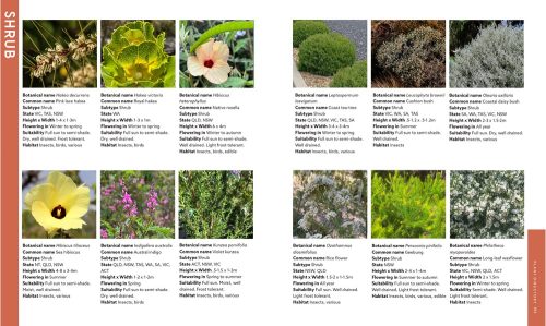 Naturescapes: How to Create a Natural Australian Garden - Image 6