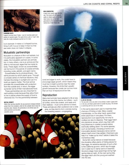 Animal:  The Definitive Visual Guide - Image 4