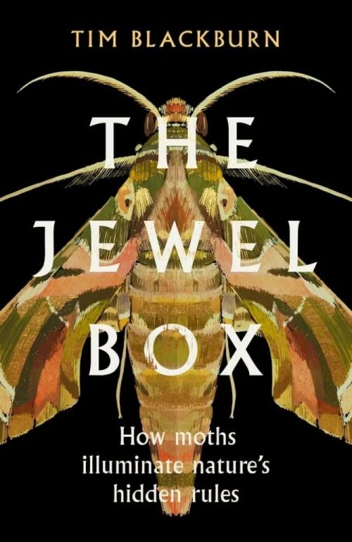 The Jewel Box: How Moths Illuminate Nature s Hidden Rules (Hardcover)