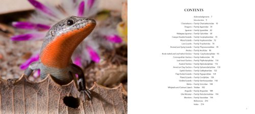 Incredible Lizards: One Hundred Species From Around the World - Image 7