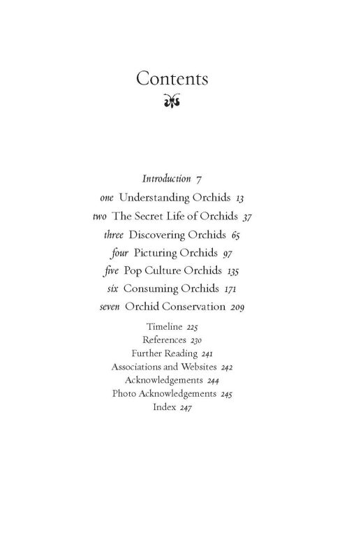 Orchid - Image 2
