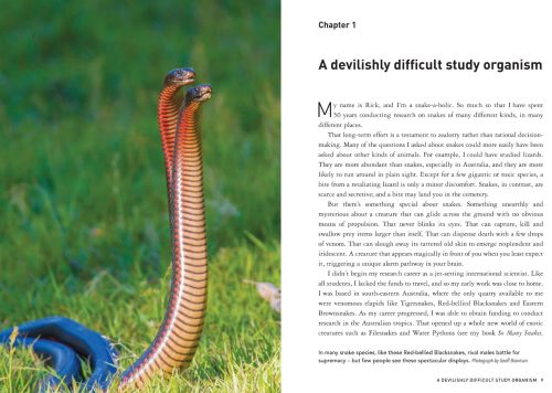 Snakes Without Borders:  A Collection of Amazing Stories From One of the World's Leading Herpetologists, Who Spent 50 Years Conducting Research on Snakes - Image 5