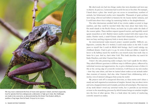 Snakes Without Borders:  A Collection of Amazing Stories From One of the World's Leading Herpetologists, Who Spent 50 Years Conducting Research on Snakes - Image 2