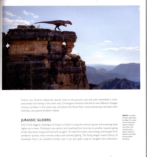 Life on our Planet - Image 3