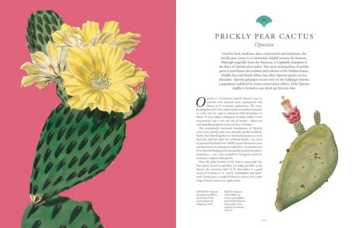 Rare Plants: 40 of the World's Rarest and Most Endangered Plants - Image 6