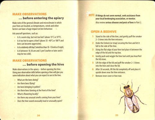 Little Book of Beekeeping:  Book One, Getting Started - Image 3